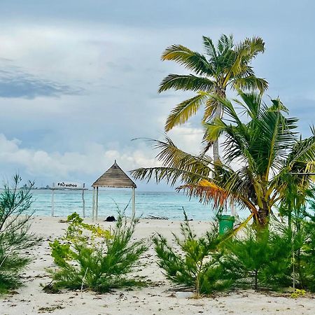 מלון גוראידהו La Isla Tropica מראה חיצוני תמונה