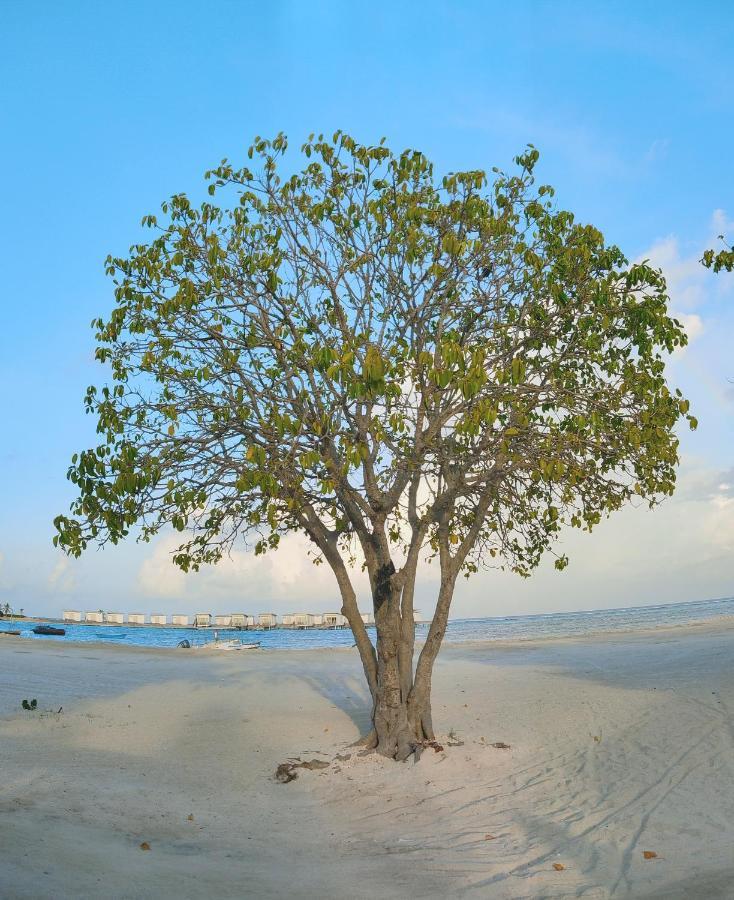מלון גוראידהו La Isla Tropica מראה חיצוני תמונה