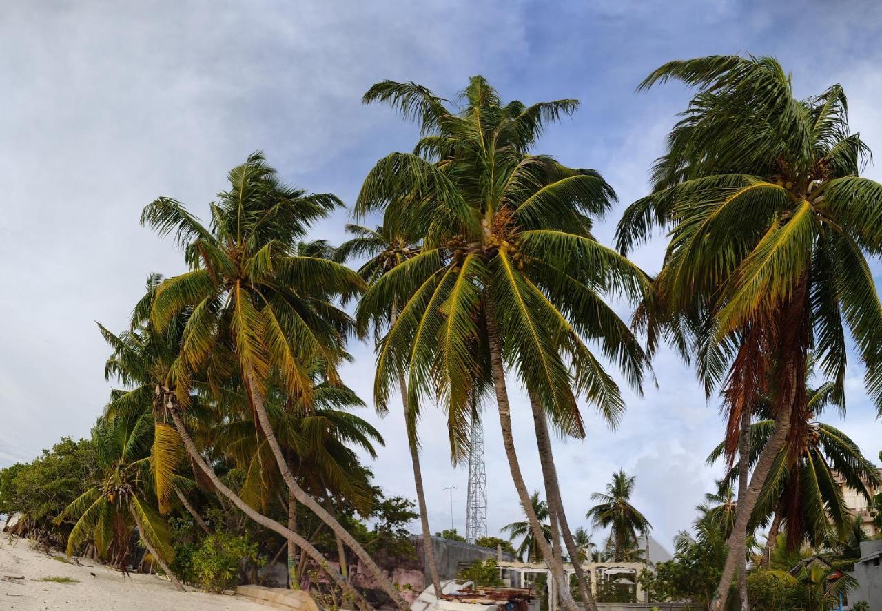 מלון גוראידהו La Isla Tropica מראה חיצוני תמונה