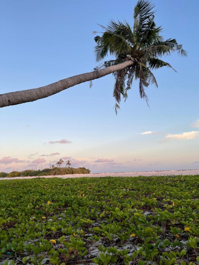 מלון גוראידהו La Isla Tropica מראה חיצוני תמונה