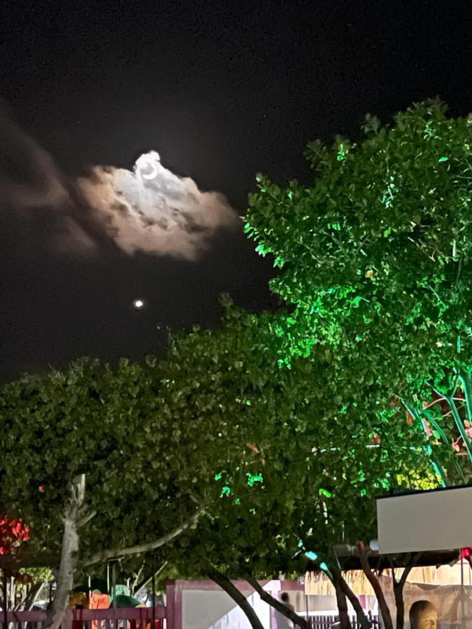 מלון גוראידהו La Isla Tropica מראה חיצוני תמונה