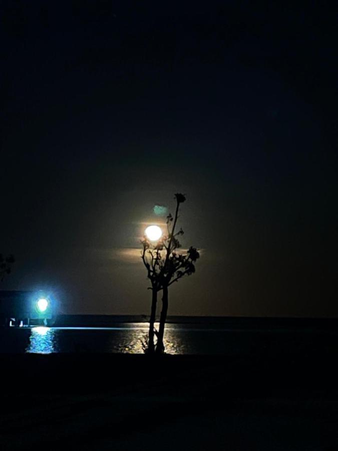 מלון גוראידהו La Isla Tropica מראה חיצוני תמונה